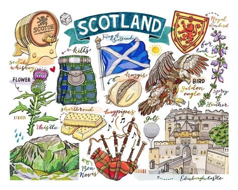 scottish symbols  depicted   hand drawn illustration