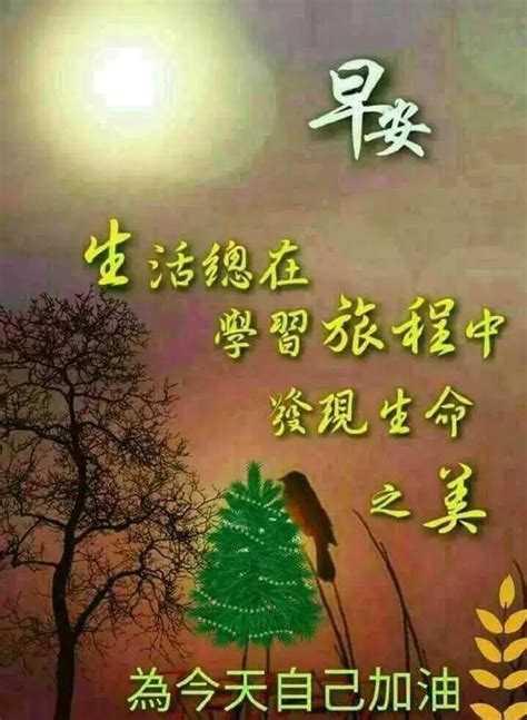 早晨問安：昨天的太陽，曬不干今天的衣裳，早晨好！ 每日頭條