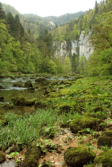 Doubs Fluss River Im Tal Des Doubs Doubstal Unterhal Flickr