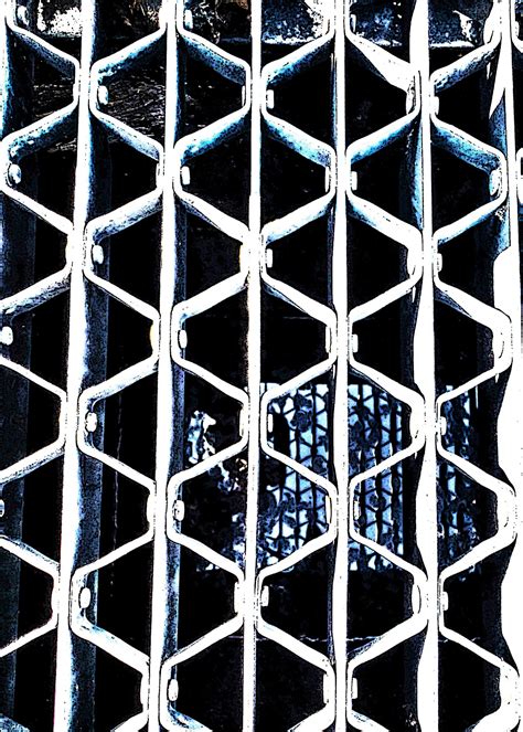 Obituary: Paying Tribute to the Life of Bonnie Parrott 17