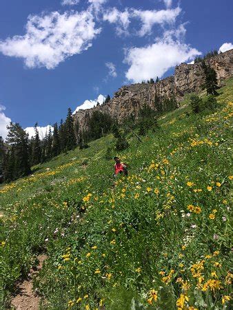 Naked Edge Eldorado Springs Tripadvisor