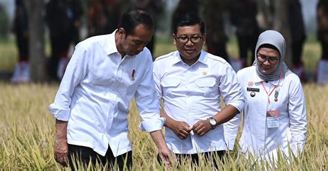 Jokowi Pastikan Stok Beras Di Indonesia Aman