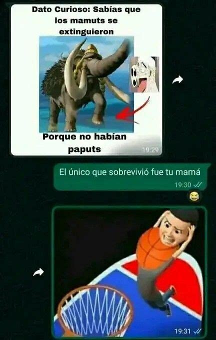 Pin De Nicky En Memes Xd Imágenes Graciosas Imágenes Divertidas