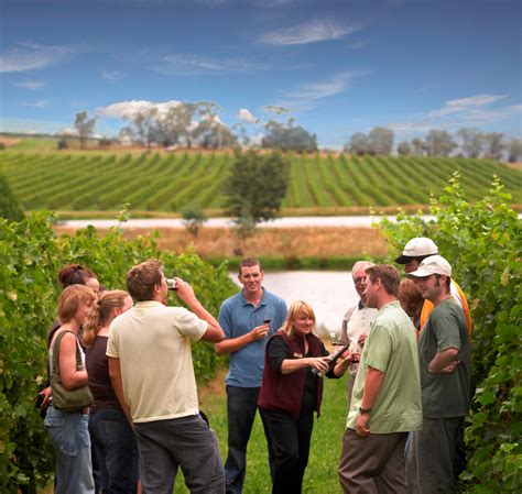 Temecula Wineries Tours