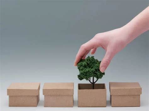 Paper Box Manufacturing Process - Step by Step Guide