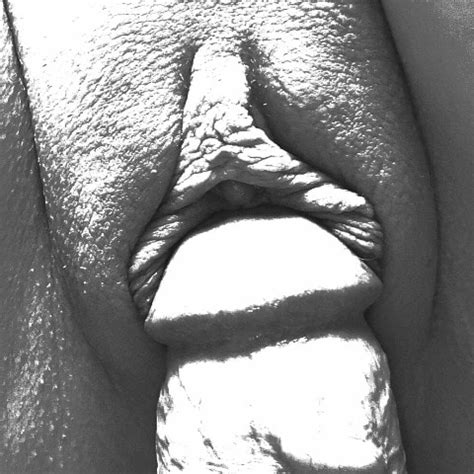 Blowjob Dildo Fucking Orgasm Amateur Amateur Porn Feat Snoopy