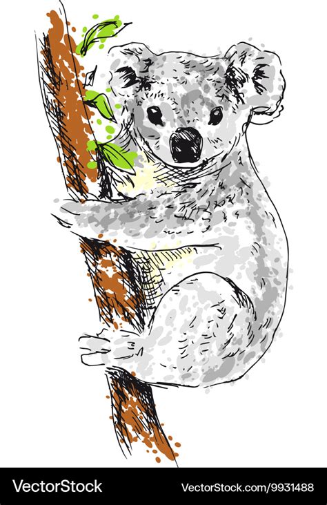 Koala Drawing