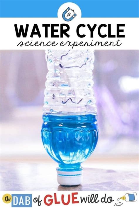 Bottle Science Experiment