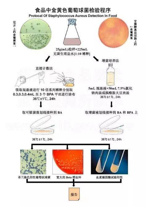 实验员必收藏的微生物检验程序图 知乎