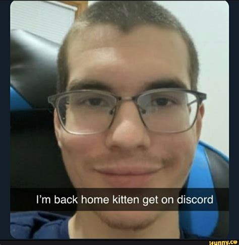 I'm back home kitten get on discord - iFunny