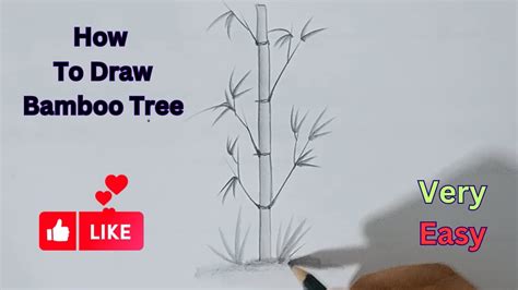 How To Draw Bamboo Tree Step By Step Easy Drawing Tutorial For