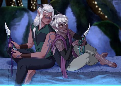 Sheilkuroi 🏳️‍🌈 On Twitter Dragon Princess Prince Dragon Rayla Dragon Prince