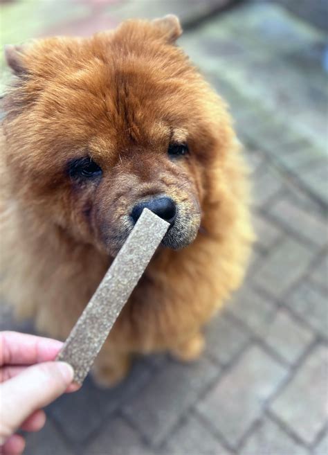 Natural Treats Chow Paws Dog Treats