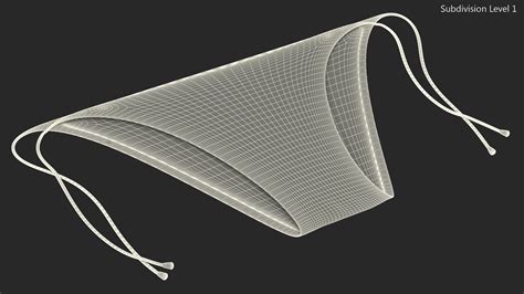 Tie Side Bikini Bottoms D Model Ds Blend C D Fbx Max Ma Lxo Obj Free D