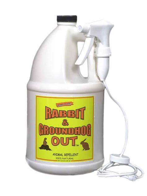 Rabbit & Groundhog Repellent: Rabbit Out 1 Gallon Ready-To-Use