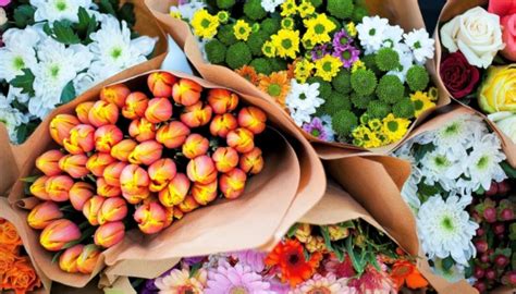 ten cac loai hoa tieng anh flower nhung tu vung cuc thu vi