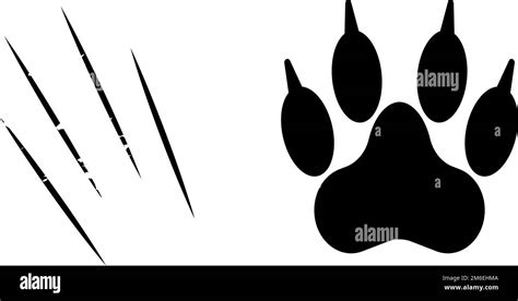 Paw With Claws Scratching Claw Animal Attack Editable Vector Stock