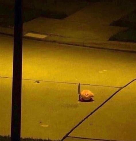 The Fuck Did You Say To Me R MakeMeSuffer