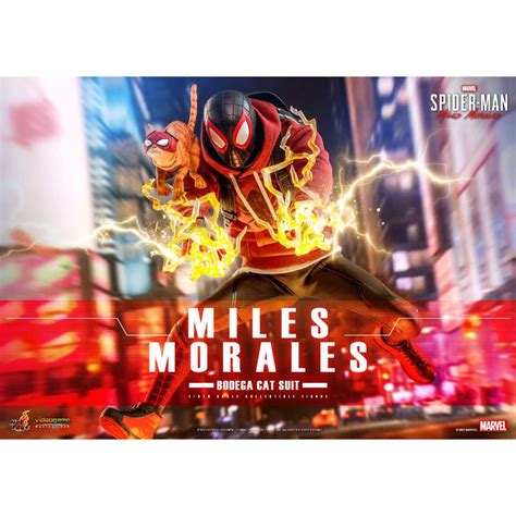 Hot Toys Vgm Marvel S Spider Man Miles Morales Bodega Cat Suit