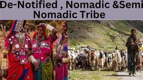 Denotified Nomadic And Semi Nomadic Tribes Upsc Anthropology Class