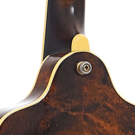 Stelling • Stelling Mandolin Early 1980s • Audio And Guitar Mall