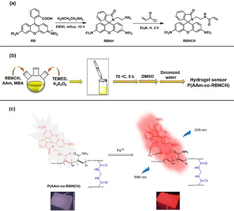 Figure 1 From Rhodamine Anchored Polyacrylamide Hydrogel For