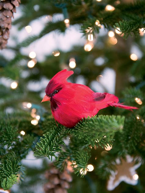 Clip On Cardinal Christmas Ornament Gardener S Supply