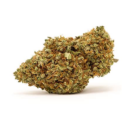 Purple Afghani Strain Potent And Aromatic Indica