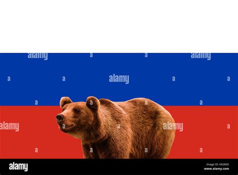 Russian Bear Flag