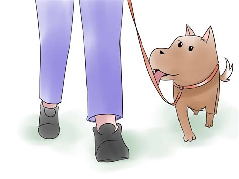 6 Ways to Teach Your Dog Basic Commands - wikiHow | Dog clicker