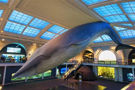 The 10 Best New York City Museums