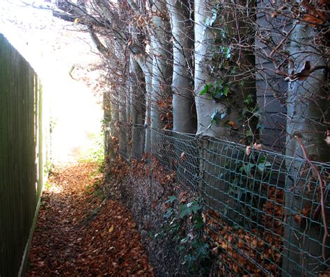 Public Footpath Off Swardeston Lane Evelyn Simak Geograph Britain