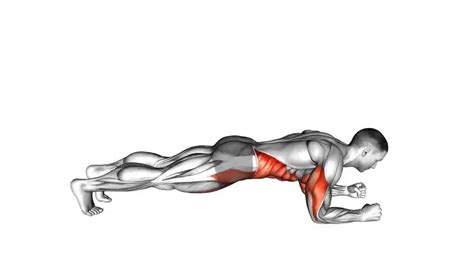 Plank Ups Muscles Worked Clearance