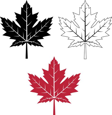 Maple Leaf Icon On White Background Red Maple Leaf Sign Canada Maple