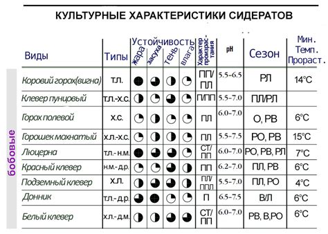 Обзор лучших бобовых сидератов