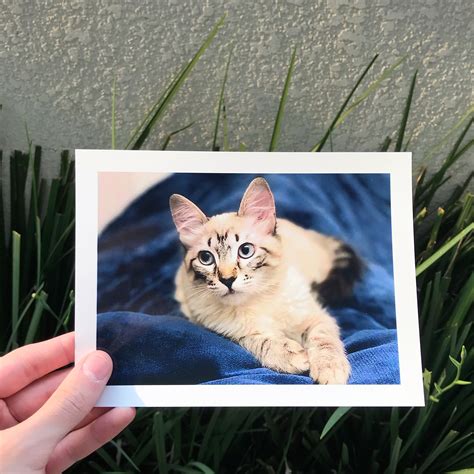 Fotos 15×21 – Dalcolor