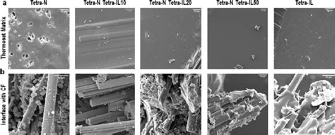 Morphology investigation through high-resolution scanning electron ...
