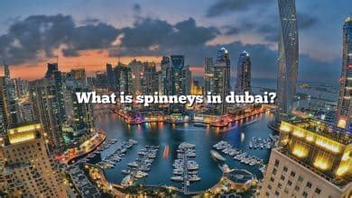 What Is Xnb Airport Dubai? [The Right Answer] 2022 - TraveliZta