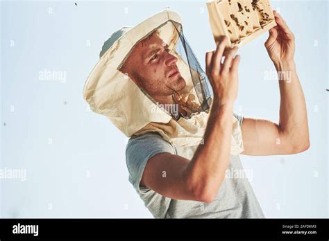 Clear Sky Beekeeper Works With Honeycomb Full Of Bees Outdoors At