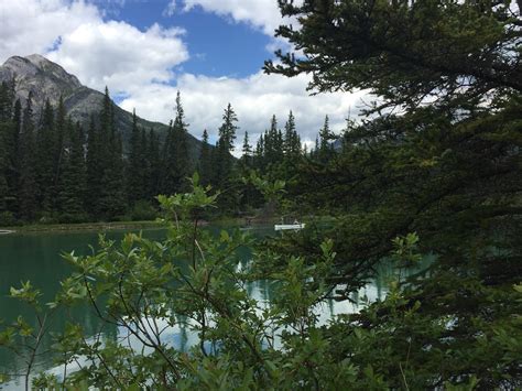 Loganexpress services are making airport travel stress-free