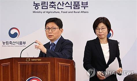 농식품부 해수부 추석 성수품 수급 안정 대책 발표 네이트 뉴스