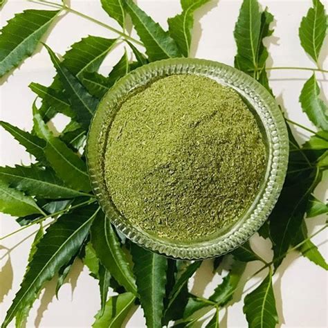 Green Organic Neem Leaf Powder For Herbal Medicines Packaging Size