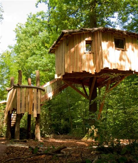 lets discover  european animals sainte croix wildlife park