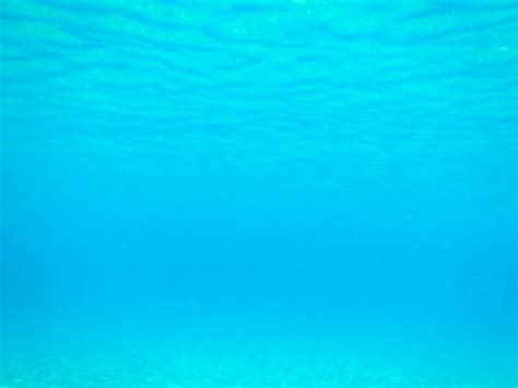 fundal de mare subacvatic poza gratuite public domain pictures