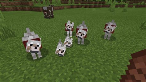 Cómo criar perros en Minecraft MundoTrucos