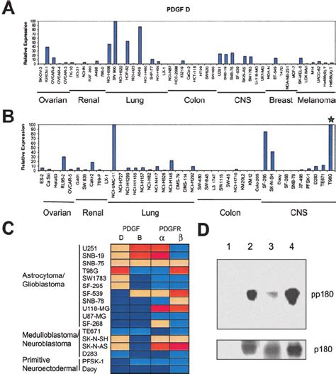 Analysis Of Pdgf D Transcript Expression And ␤ Pdgfr Tyrosine