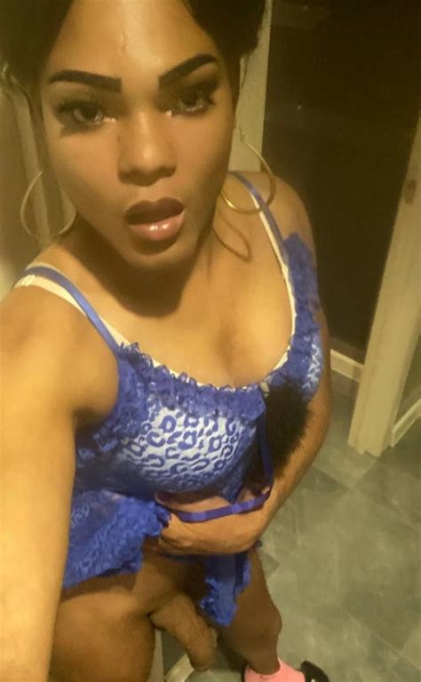 Who Is This Cuban Tranny Girl Shemale Porn NameThatPorn