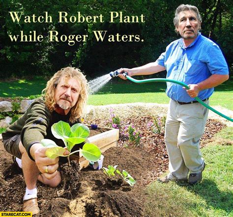 Watch Robert Plant While Roger Waters