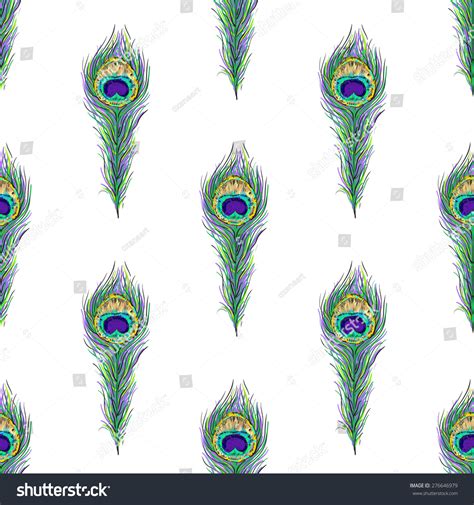 Vector Seamless Peacock Feathers Pattern Vivid Stock Vector Royalty