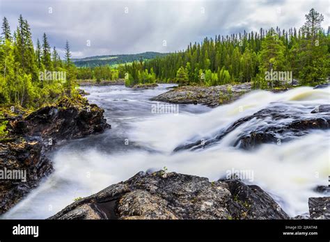 Vasterbotten County Hi Res Stock Photography And Images Alamy